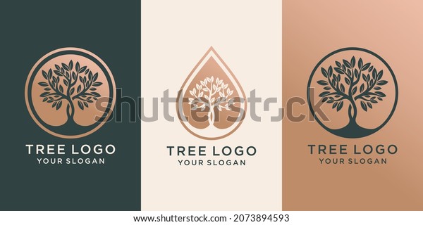 set of logo tree and Drops or water\
combined with tree. logo design Premium\
Vector