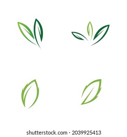 set logos of green leaf ecology nature element vector