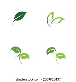 set logos of green leaf ecology nature element vector