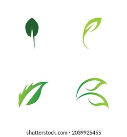 Set-Logos für das Naturelement der grünen Blätter