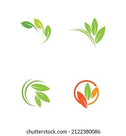 set of Logos of green leaf ecology nature element vector icon