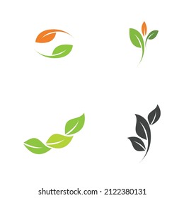 conjunto de logotipos de ecología de hoja verde elemento vectorial icono