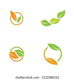 conjunto de logotipos de ecología de hoja verde elemento vectorial icono
