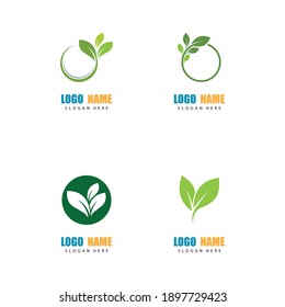 Set Logos of green Tree leaf ecology nature element vector