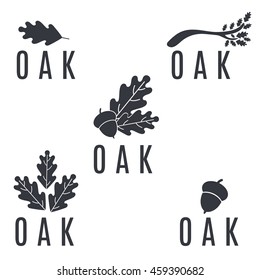 Set Of Logos On An Oak Tree With Leaves And Acorns.Vector Illustration