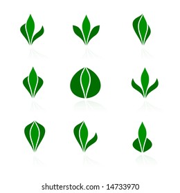 Set of logos - plant. Vector-Illustration
