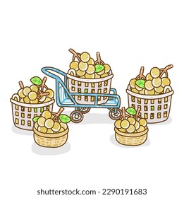 Set Longan on Background Vector.