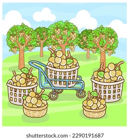 Set Longan on Background Vector.