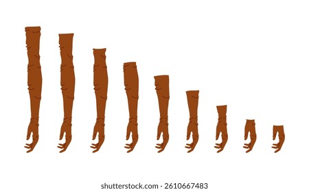 Set of Loose Gloves Length Chart diagram with name text brown cartoon Elbow Short Wrist Fashion hand accessory clothing technical illustration garment. Vector for Men women unisex style flat sketch