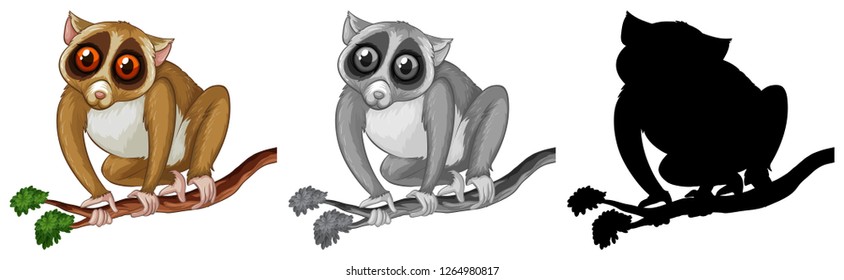 Set of loris character illustration