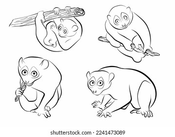 set loris funny outline vector element for illustration