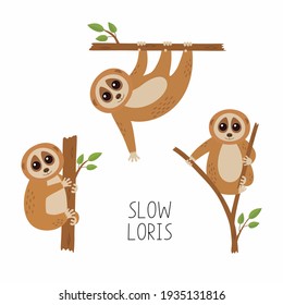 Set of loris on tree branches. Cute lorises vector illustration collection.