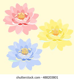 set of lotus flower pink, blue, yellow, close up vector illustration