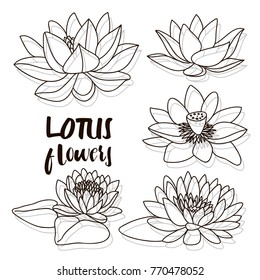 Set of lotus flowers