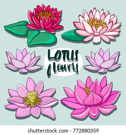 Set of lotus flowers