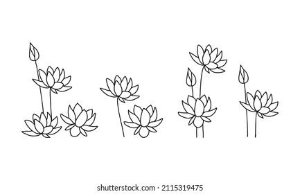 Establecer. Flores Lotus de estilo doodle. Dibujado con un contorno sobre un fondo blanco. Ilustración vectorial.