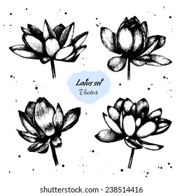 Set of lotus flowers. Hand drawn isolated elements. Vector illustration.