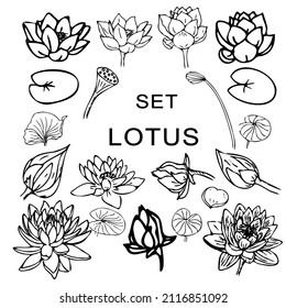 A set of lotus flowers and leaves .Doodles ,vector,black and white illustration,coloring book for adults and children.