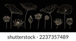Set of lotus hand drawn vector. Collection of oriental flower, lotus flowers, botanical, floral in line art. Design for logo, luxury wedding invitation, cover, packaging and background template.
