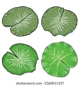 Lotus-Blätter, Linie Kunst stilisiert. Sammlung von grünen Lotusblättern. Handgezeichnete, isolierte Wasserteich-Lilienblätter. Körper und Geist entwerfen Elemente. Vektorgrafik.