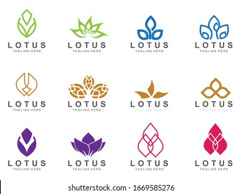 Set of Lotus logo with modern concept. Icon lotus vector illustration