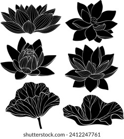 Set of lotus silhouette. Lotus flower, vector illustration.