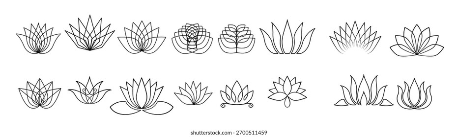 Conjunto de Ilustración vectorial de loto