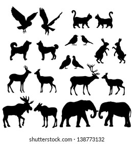 Set of lovely animal lovers couples silhouette: deers, owls, pigeons, elephants, moose, roes, hares, birds, cats, dogs.