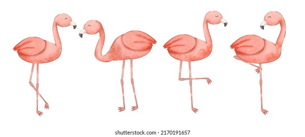 Set of lovely flamingo in various pose and emotion painting watercolor in cartoon style on white background, vector illustration