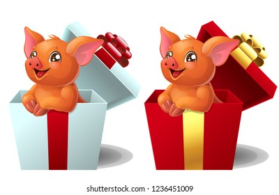 Set the lovely red little Duroc breed pigs sits in the gift white and red box. A cartoon vector illustration isolated on white.