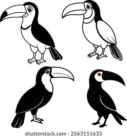 Set of lovely toucans from different angles on white background