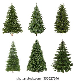 Set of low poly spruce. Vector illustration of green firs. Figures consist of small triangles. Collection of six isolated coniferous trees.  Abstract images.