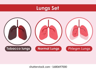 
conjunto de pulmones en diferentes estados