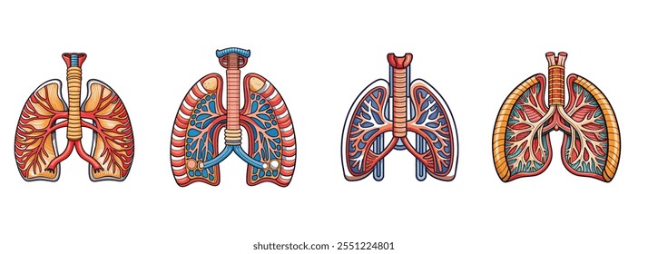 Set of lungs, highlighting intricate details