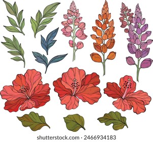 Set with lupins, hibiscus and leaves. Vector floral pattern with green leaves and lupines flowers.