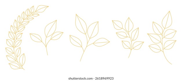 Set luxary simple leaves botanical branches with stem and foliage vector illustration
