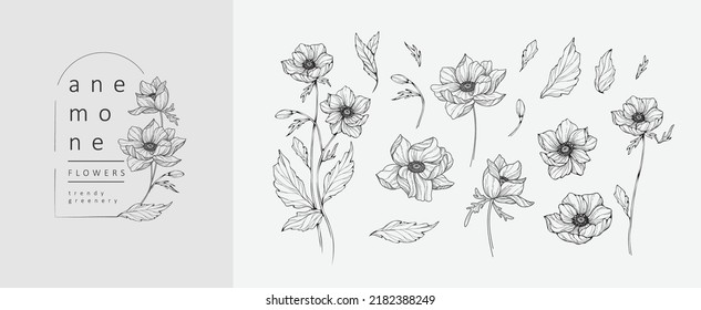 Conjunto de flores y logotipo de lujo anemónicos. Elementos botánicos de moda. La línea dibujada a mano deja ramas y florece. Boda de flores silvestres elegantes para invitación, salva la tarjeta de fecha. Verdor de moda vectorial