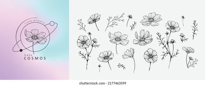 Set of luxury baby cosmos flowers and logo. Trendy botanical elements. Hand drawn line leaves branches and blooming. Wedding elegant wildflowers for invitation save the date card. Vector trendy greene