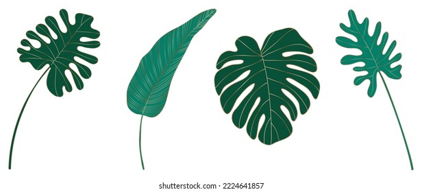 Set of luxury botanical leaves. Collection of tropical green foliage and gold lines. Design for elegant wedding invitation, cover, print, decoration, pattern, background template. Vector illustration.