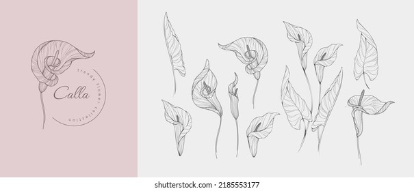 Montaje de flores de calila y logotipo de lujo. Elementos botánicos de moda. La línea dibujada a mano deja ramas y florece. Boda de flores silvestres elegantes para invitación, salva la tarjeta de fecha. Verdor de moda vectorial