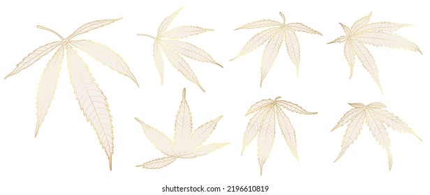 Set of luxury cannabis vector element. Collection of foliage with hemp plant, marijuana leaves, cannabis leaf in gold hand drawn pattern. Elegant wild hemp foliage for decorative, prints, logo.