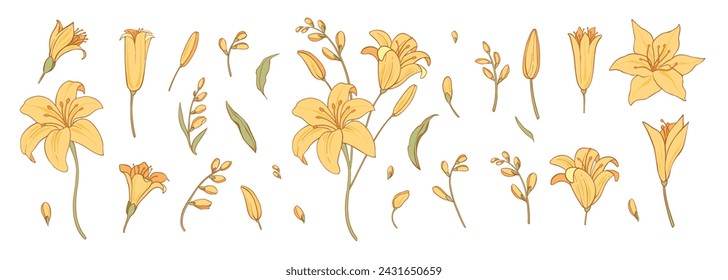 Set of luxury colorful flowers and logo. Trendy botanical elements. Hand drawn line leaves branches and blooming. Wedding elegant wildflowers for invitation save the date card. Vector golden
