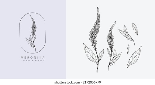 Set of luxury flowers and logo. Trendy botanical elements. Hand drawn line leaves branches and blooming. Wedding elegant wildflowers for invitation save the date card. Vector