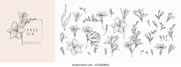 Set of luxury flowers and logo. Trendy botanical elements. Hand drawn line leaves branches and blooming. Wedding elegant wildflowers for invitation save the date card. Vector - Shutterstock ID 2172064823
