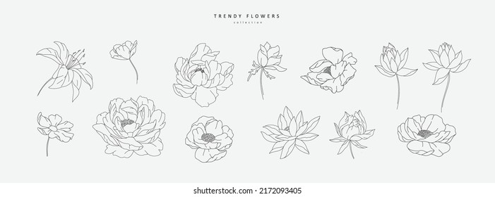 Set of luxury flowers and logo. Trendy botanical elements. Hand drawn line leaves branches and blooming. Wedding elegant wildflowers for invitation save the date card. Vector