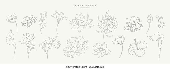 Set of luxury flowers and logo. Trendy botanical elements. Hand drawn line leaves branches and blooming. Wedding elegant wildflowers for invitation save the date card. Vector