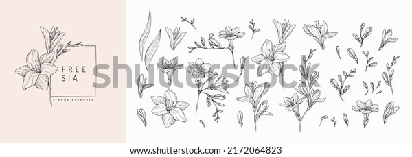 Set of luxury\
flowers and logo. Trendy botanical elements. Hand drawn line leaves\
branches and blooming. Wedding elegant wildflowers for invitation\
save the date card. Vector