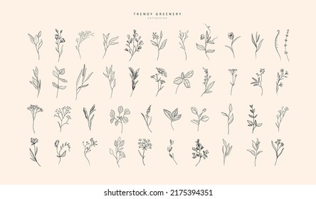 Set of luxury flowers and trendy botanical elements. Hand drawn line leaves branches and blooming. Wedding elegant wildflowers for invitation save the date card. Vector trendy greenery