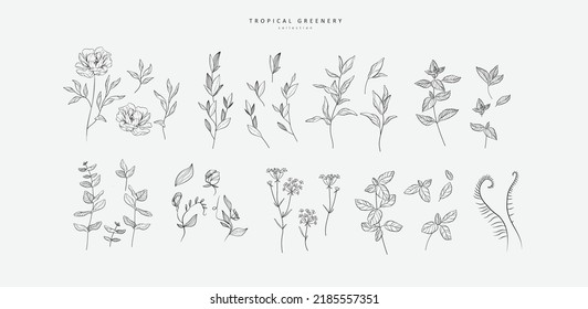 Set of luxury flowers and trendy botanical elements. Hand drawn line leaves branches and blooming. Wedding elegant wildflowers for invitation save the date card. Vector trendy