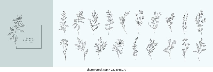 Set of luxury flowers and trendy botanical elements. Hand drawn line leaves branches and blooming. Wedding elegant wildflowers for invitation save the date card. Vector trendy